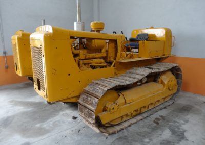 Cat_D4D_1974 (1)