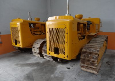 Cat_D4D_1974 (11)