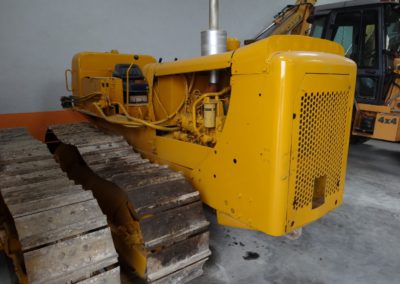 Cat_D4D_1974 (3)