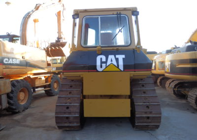 Cat_D5H_1991-4