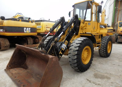 Cat_IT18B_1980-3