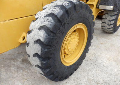 Cat_IT18B_1980-8