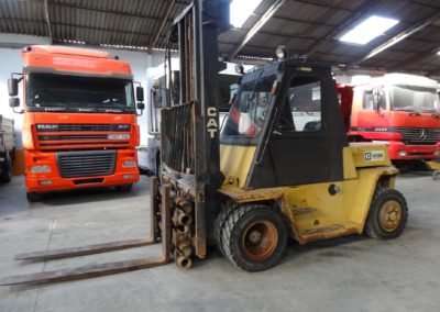 Cat_V130_1989 (1)