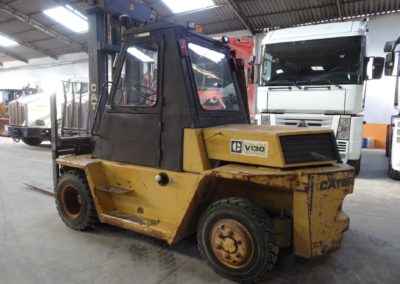 Cat_V130_1989 (3)