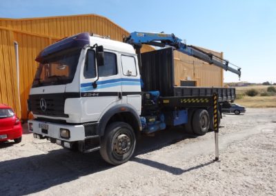 Mercedes_SK2544_1995_Palfinger (1)