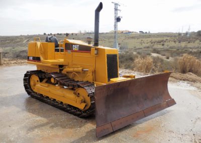 Cat_D3C-1