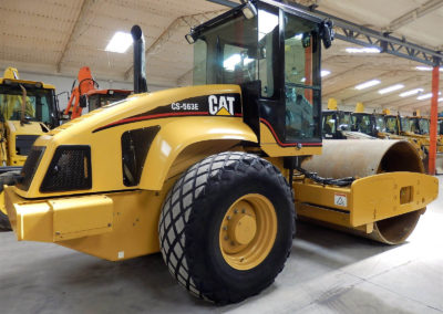 Cat_CS563E_2006-4