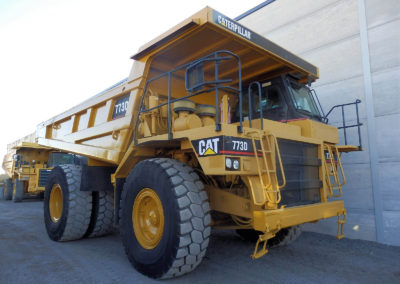 Cat_773D__00169-2