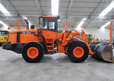 Doosan_DL300_2010-3
