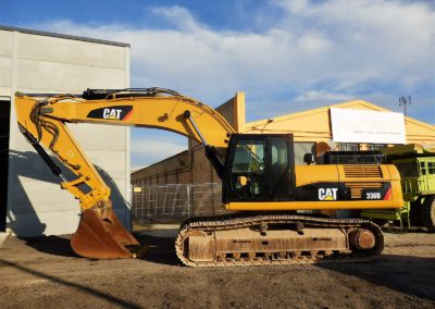 Cat_336DL_2010-4