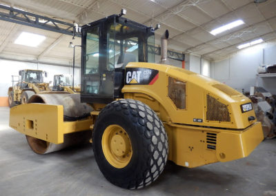 Cat_CS76_2010-1