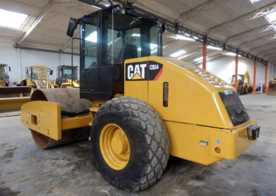 Cat_CS54_2010 (1)