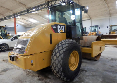 Cat_CS54_2010 (2)