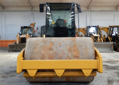 Cat_CS54_2010 (3)