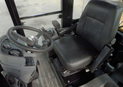 Cat_CS54_2010 (4)
