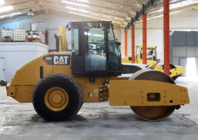 Cat_CS54_2010 (5)