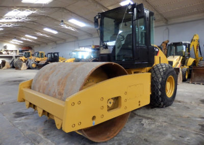 Cat_CS54_2010 (6)